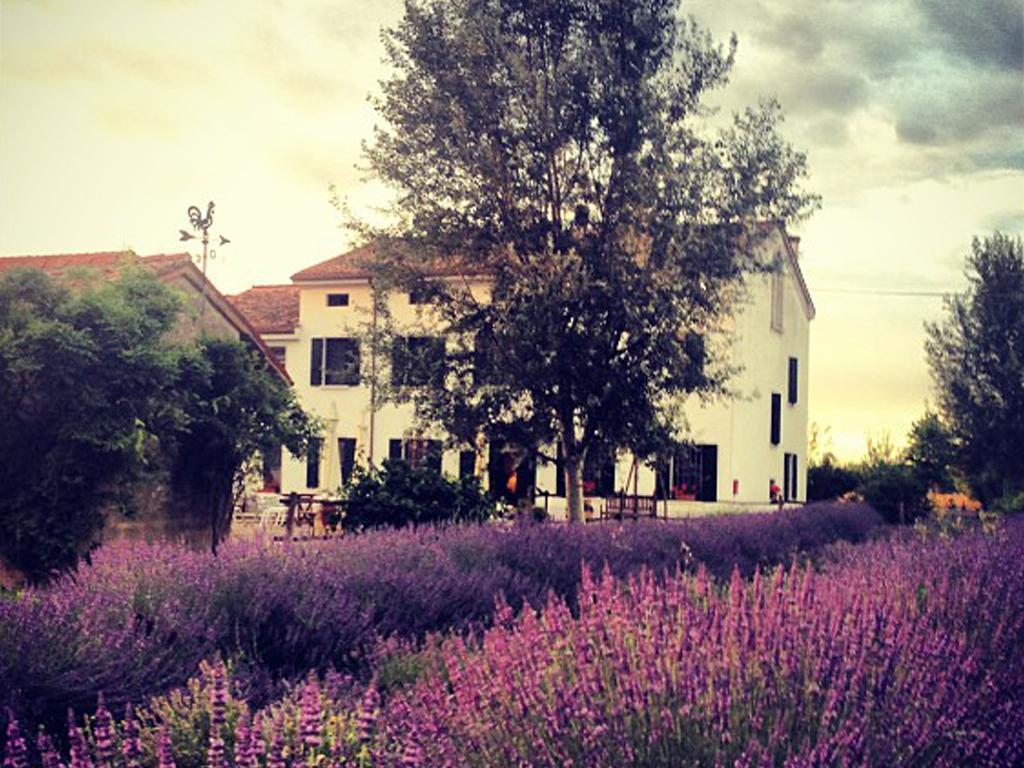 Agriturismo Viridarium Castellucchio Екстериор снимка