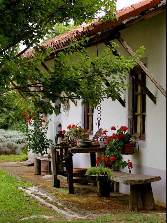 Agriturismo Viridarium Castellucchio Екстериор снимка